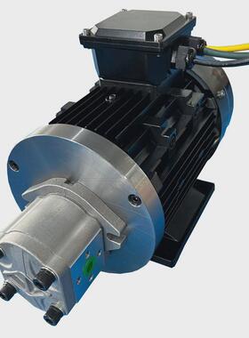 新能源液压站油泵工作直流无刷电机可连续电机dc48v60v72v96v