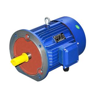 变频供应tcg卧立式 0.75kw铝壳标准三相同步电动机可配刹车厂家