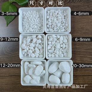 白色鹅卵石碎雪花白盆栽装饰白石子鹅卵石园艺庭院造景白色砾石