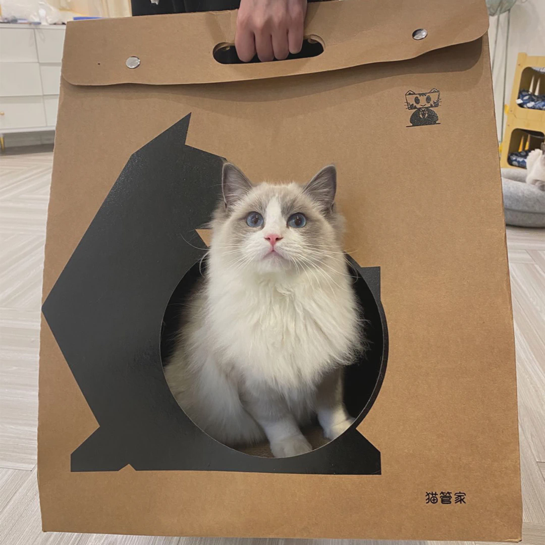猫窝猫抓板一体房子 猫抓板屋小猫咪窝 纸箱子磨爪耐抓耐磨不掉屑,宠物/宠物食品及用品,猫窝/屋/帐篷/沙发,淘宝优惠券,粉丝福利购,淘宝优惠卷