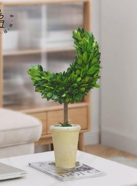 馨颜植手工桌面摆件居装饰品客厅室内绿植月亮树礼物