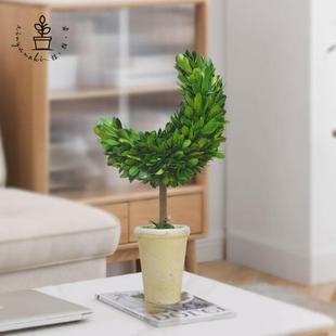 馨颜植手工桌面摆件居装饰品客厅室内绿植月亮树礼物