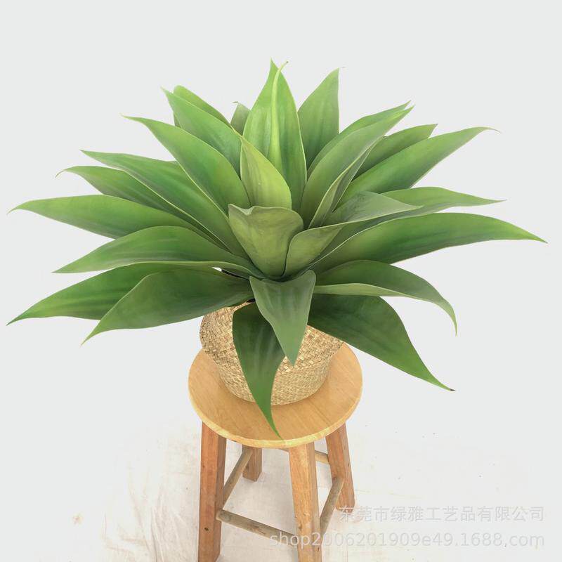 仿真绿植多肉盆栽仿真小剑兰假绿植餐厅酒吧热带植物装饰绿植摆件