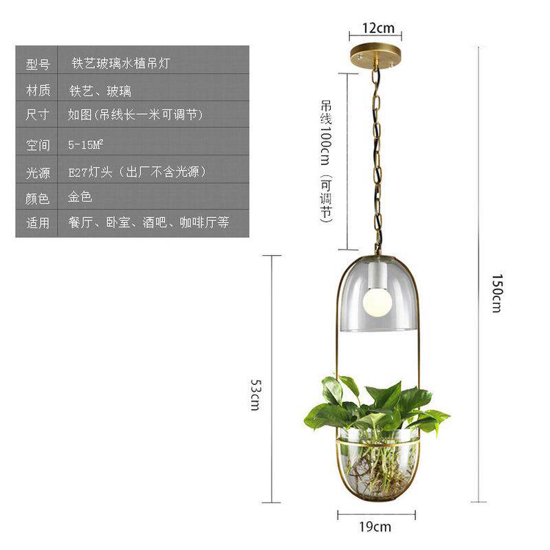 玻璃植物水培过道创意北欧水养植物铁艺餐厅吧台吊灯阳台创意吊灯