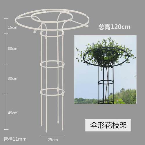 户外园艺伞形玫瑰爬藤架月季铁线莲攀藤绿植蔷薇花支架蘑菇支架杆