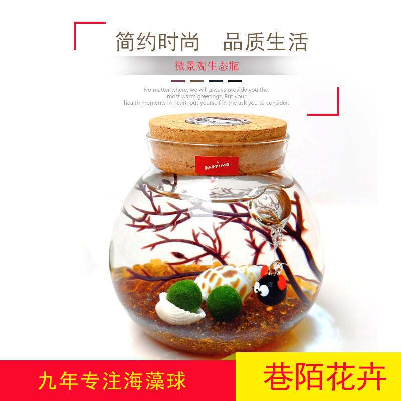 marimo幸福海藻球苔藓微景观生态瓶diy创意盆栽球藻桌面水培植物