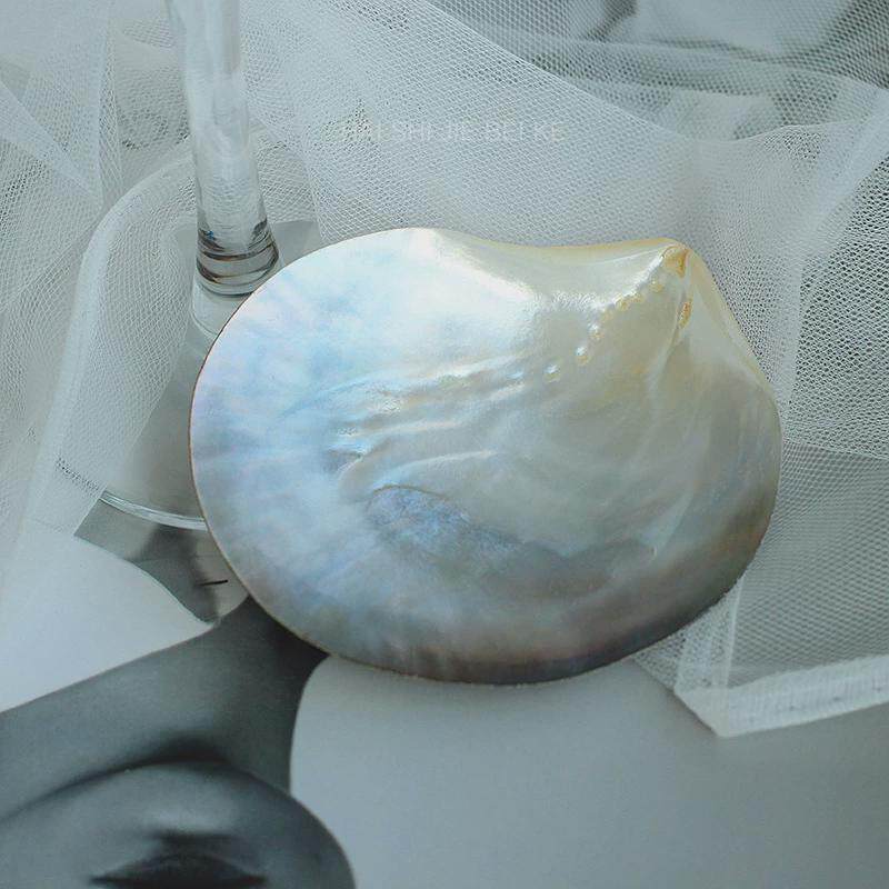 86m0天然大贝壳黑蝶贝珠宝海贝大溪地黑珍珠首饰抛光拍照道具摆件