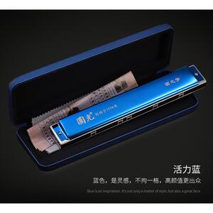 供应厂价直销国光口琴/国光24孔国之梦演奏比赛级口琴/复音/重音
