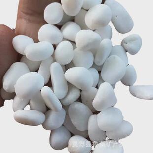 白色鹅卵石碎雪花白盆栽装饰白石子鹅卵石园艺庭院造景白色砾石
