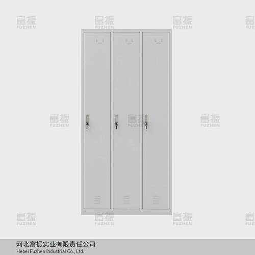 文件柜铁皮柜带锁现代简约钢制北京落地储物柜矮柜办公柜更衣柜