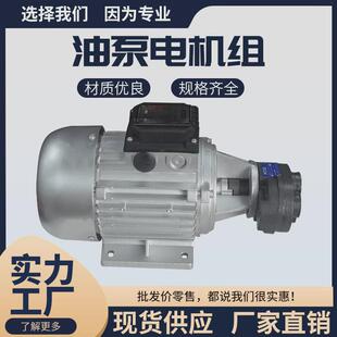 热销齿轮油泵电机组370/550W配CBB2.5/4/6/10油泵组配齿轮油泵抽