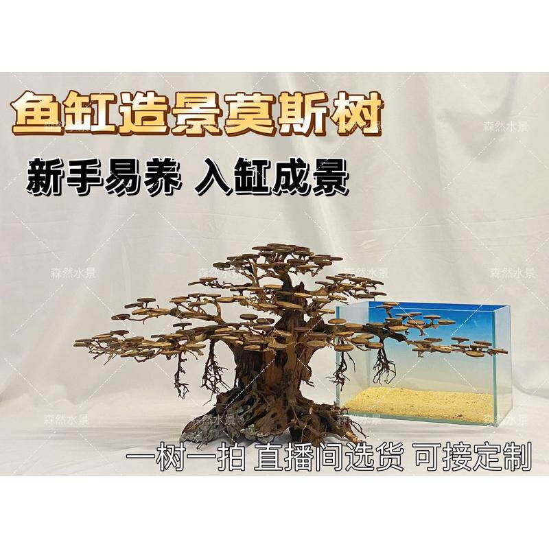 莫斯树迎客松造景鱼缸造景莫斯树成品骨架制作全尺寸订做一树一拍