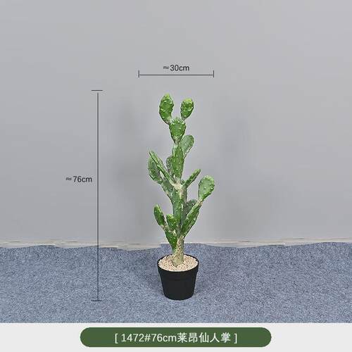 沙漠仙人柱球热带仿真仙人掌植物店铺橱窗装饰绿植盆栽摆件摩洛哥