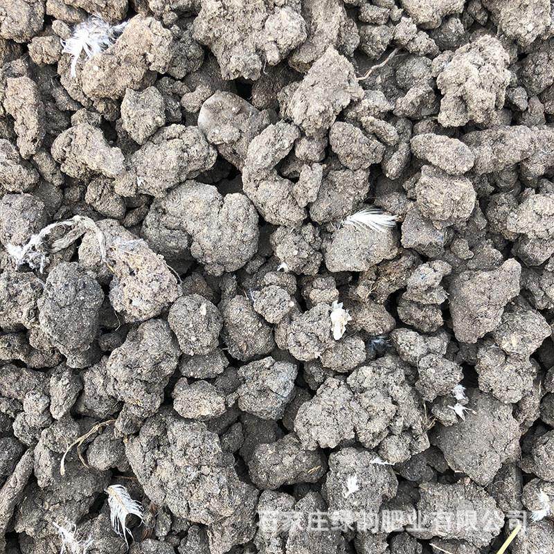 晒干鸡粪块有机肥果树土壤有机农家肥底肥绿韵改良用肥料厂家