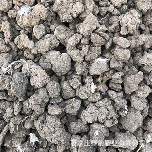 晒干鸡粪块有机肥果树用农家肥底肥绿韵改良土壤有机肥料厂家