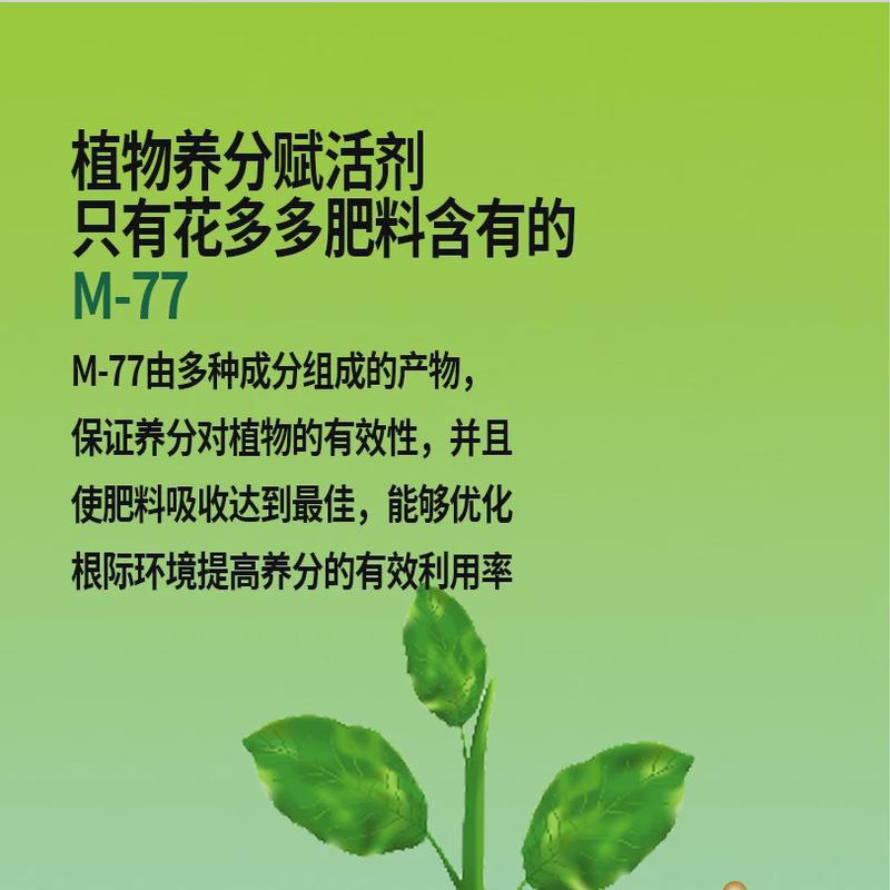 欧洲进口肥料花多多2号水溶性复合肥花肥10-30-20促花型