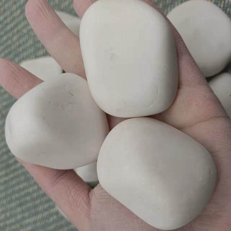 白石子白色水洗石工程庭院铺路花园造景装饰园林小石子厂家白石米