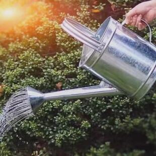 油壶加厚不锈钢洒水壶家用大容量长嘴浇花浇水浇菜淋花加油桶喷壶