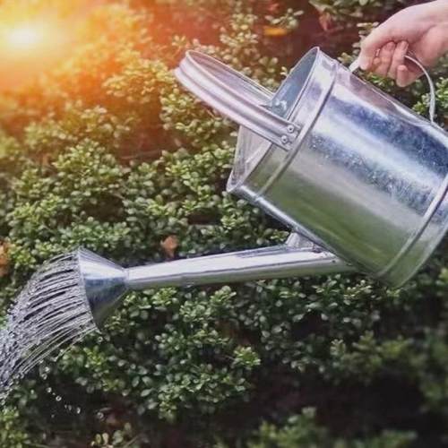 油壶加厚不锈钢洒水壶家用大容量长嘴浇花浇水浇菜淋花加油桶喷壶