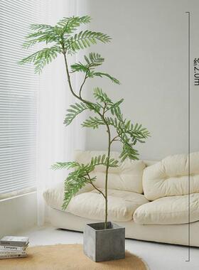 新款蓝花楹仿真绿植落地盆栽仿生植物旁室内客厅沙发摆件装饰树