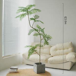 新款蓝花楹仿真绿植落地盆栽仿生植物摆件室内客厅沙发旁装饰树