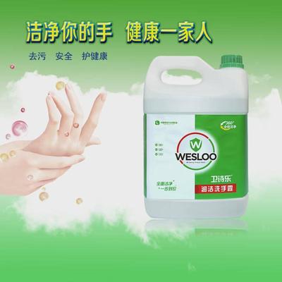 宾馆酒店家用泡沫洗手液大桶装泡沫丰富消毒杀菌皂液器补充装