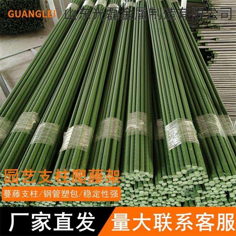花架爬藤支架葡萄庭院黄瓜丝瓜西红柿月季蔬菜植物支撑杆包塑钢管