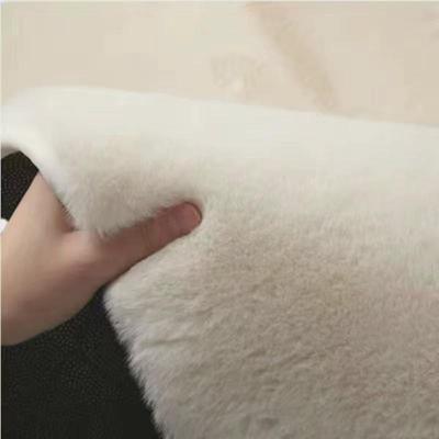 热销轻奢卧室床边仿兔毛绒地毯客厅沙发大面积全铺茶几地垫阳台飘