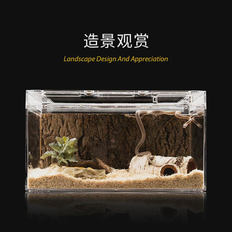 爬宠饲养箱a6养殖盒大号小号活物鬃狮蜥蜴睫角守宫角蛙宠物蛇龟缸