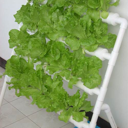供应立体花架水培蔬菜阳台机无土栽培种植管道花盆架子