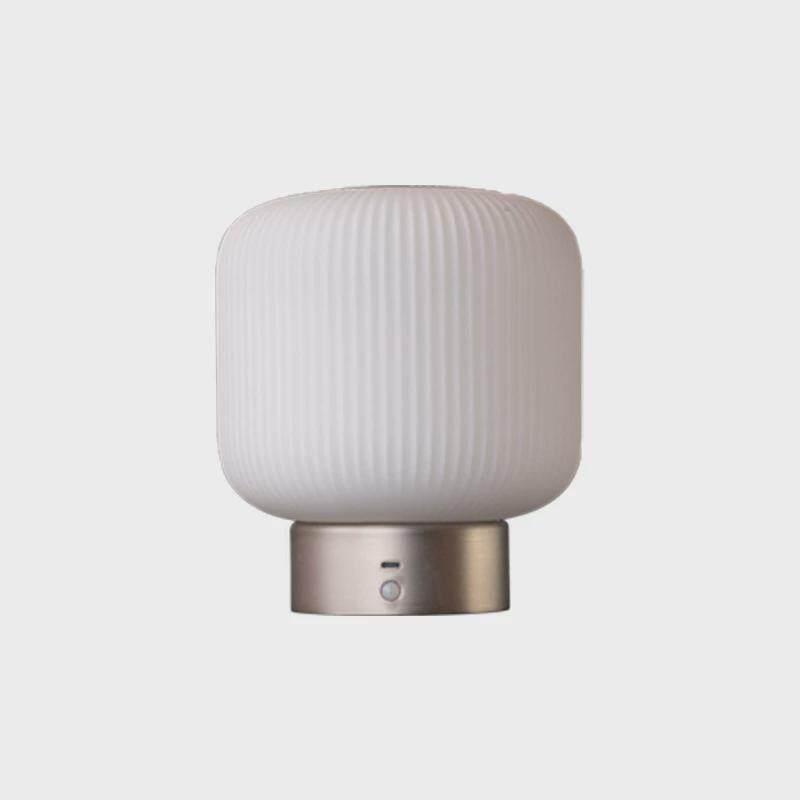 爱斯兰高级感应台灯可调光高颜值卧室床头灯轻奢充电装饰氛围夜灯