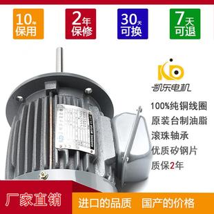 0.75kw铸铁三相异步电机上风机用耐高温电机轴长可非标两年质保