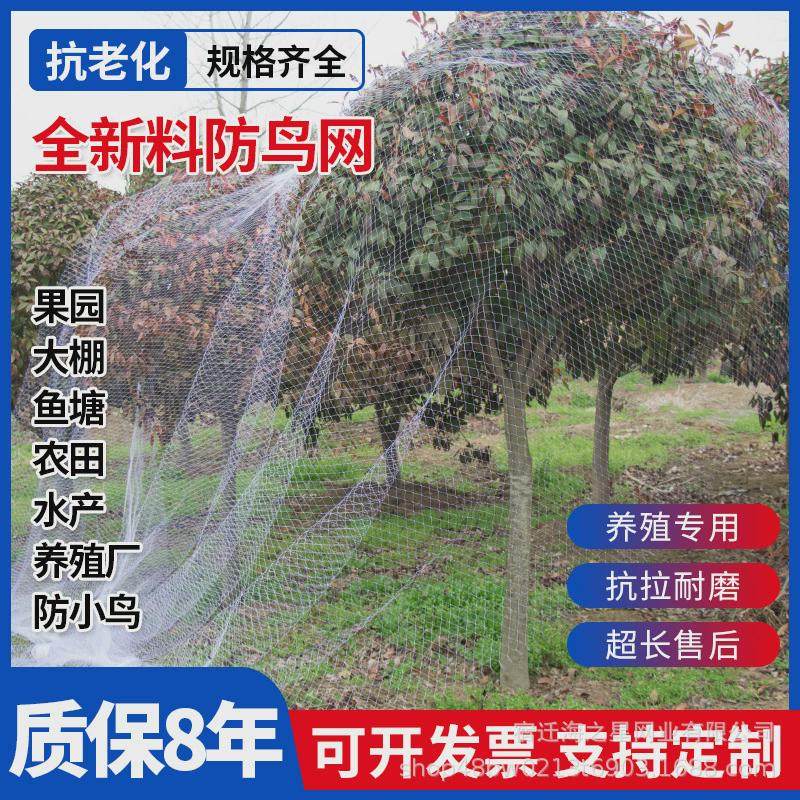 果树防鸟用网天网尼龙网大棚防鸟网果园鱼塘养殖防鸟网拦鸟丝网片,鲜花速递/花卉仿真/绿植园艺,其它园艺用品,淘宝优惠券,粉丝福利购,淘宝优惠卷