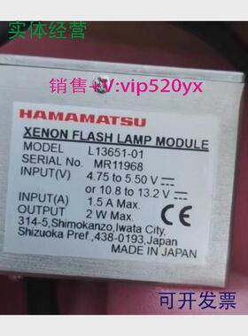 现货供应滨松HAMAMATSU闪烁氙灯模块L13651-01，博