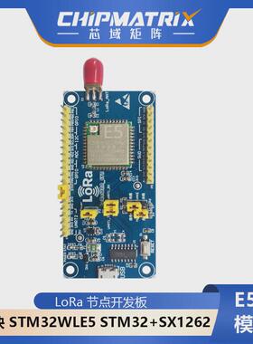 LoRa 节点开发板  模块 STM32WLE5  STM32+SX1262