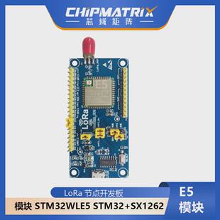 LoRa 节点开发板  模块 STM32WLE5  STM32+SX1262