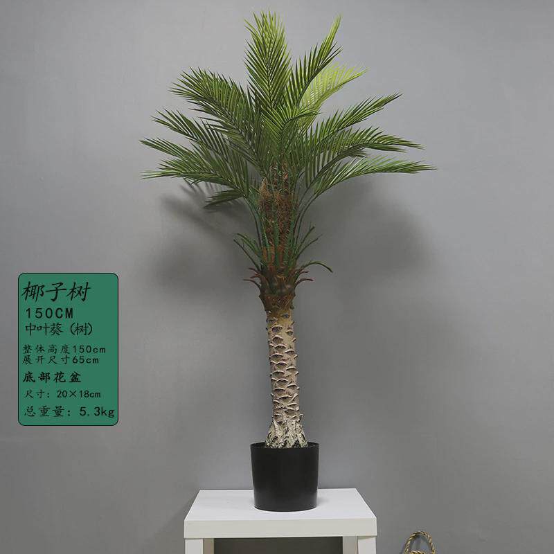 仿真树仿真盆栽摆件北欧大型仿真绿植散尾葵假绿植室内绿植盆景,鲜花速递/花卉仿真/绿植园艺,仿真绿植,淘宝优惠券,粉丝福利购,淘宝优惠卷