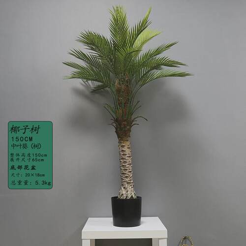 仿真树大型仿真绿植盆栽摆件北欧绿植盆景散尾葵假绿植室内仿真