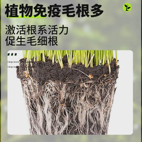 三效根立旺强力生根液生物发酵蔬菜草莓调土养根壮苗三效根立旺