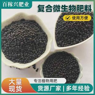 颗粒微生物菌肥现货蔬菜果树复合有机肥多种活菌有机菌肥