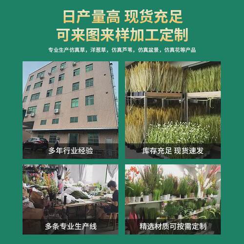 北欧仿真绿植金边虎皮兰盆栽室内客厅造景花卉道具假绿植落地装饰
