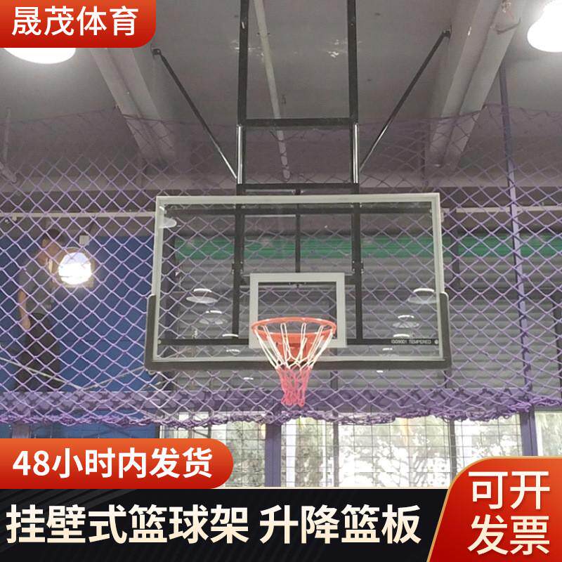 室内体育篮球馆手电动篮球架悬挂式升降成人篮球框儿童吊顶篮球架