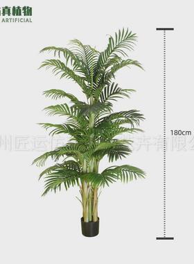 仿真绿植大型葵树盆栽散尾葵塑胶仿真树人造凤尾葵天竺葵假绿植