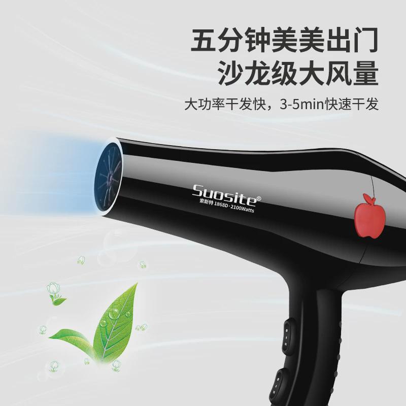 索斯特1868D冷热风2000w吹风机大功率家用酒店吹风筒发廊电吹风