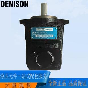 c1进口丹尼丹尼t6c0171r01c1 1r01 逊逊叶片泵t6c 017