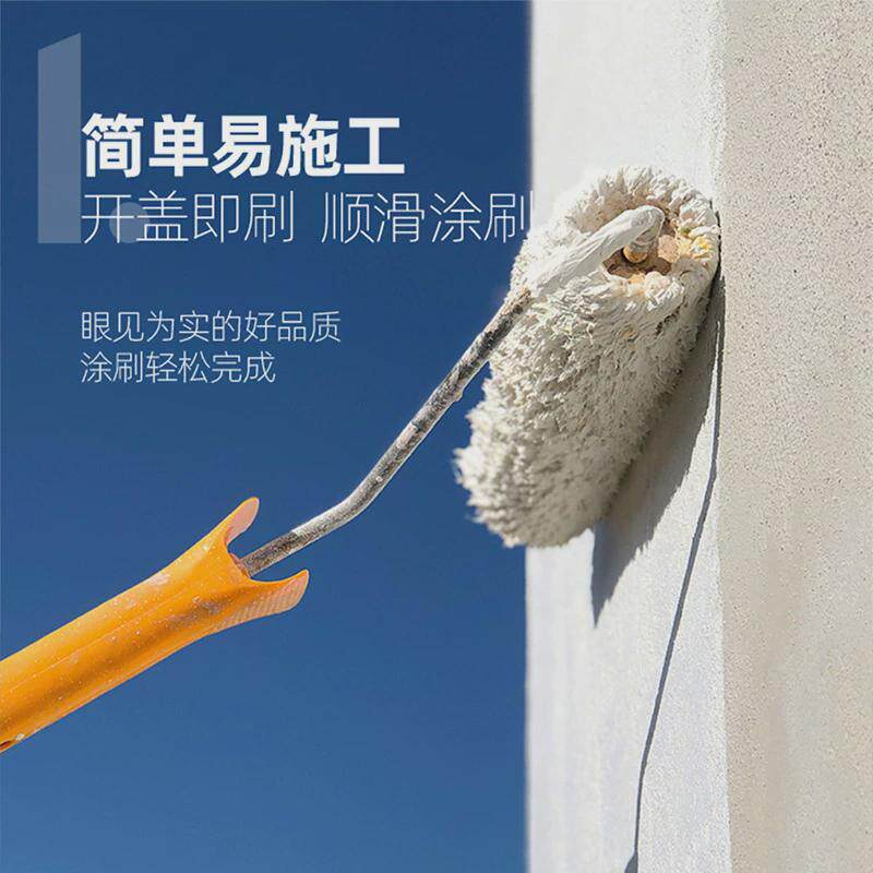 抗力扬抗碱封闭底漆内外墙透明防水防霉底漆封底油漆家用通用底漆
