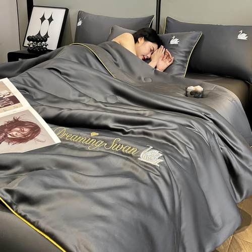 夏凉被简约水洗冰丝刺绣夏被四件套轻奢空调被凉感透气套件单品被