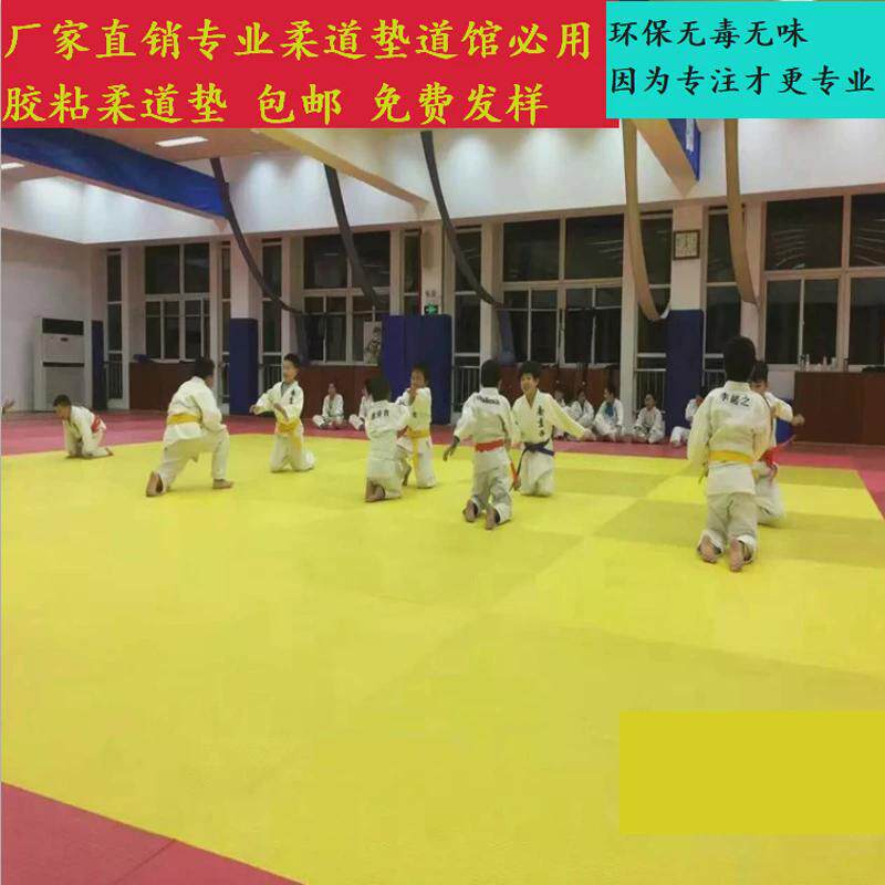 柔道垫比赛专业防滑训练垫格斗散打搏击摔跤柔术榻榻米柔道垫子