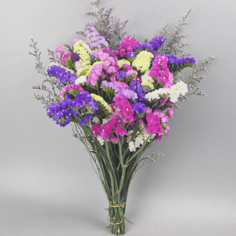 干花花束勿忘我插客厅摆设干花真花装饰摆件鲜风干天然满天星鲜花