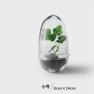 收藏手作玻璃罩微景观生态瓶摆件透明绿植可选展示盒防尘三款物